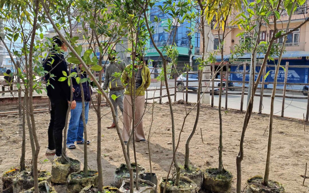 Community Park in the making